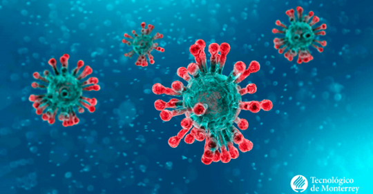 coronavirus